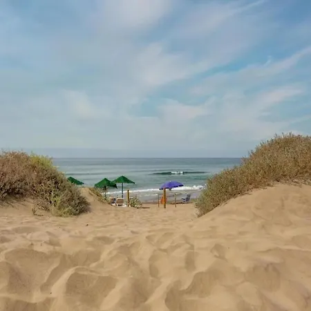 公寓 In Beachfront With Pool *